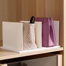 Organizador de Bolsa Acrílico com Divisória Retráteis Mahaos