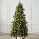 Árvore de Natal -  Grandview Fir + 700 LEDS